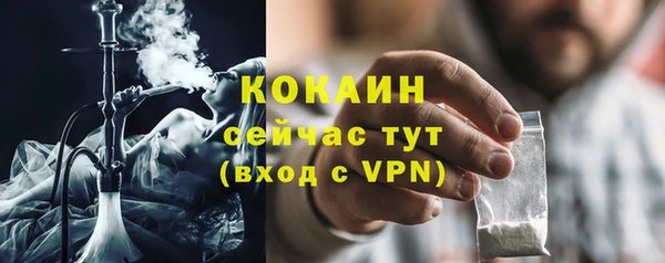 СК Волосово