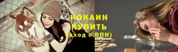 СК Волосово