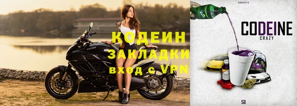 СК Волосово
