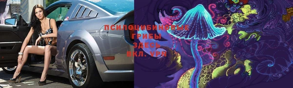 СК Волосово