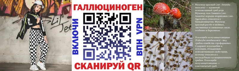 Галлюциногенные грибы Cubensis  как найти   Пермь 